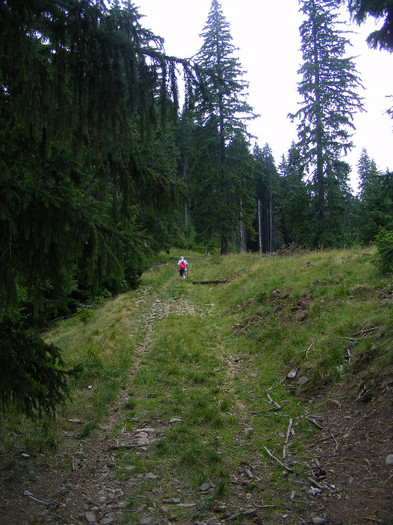 DSCF2303
