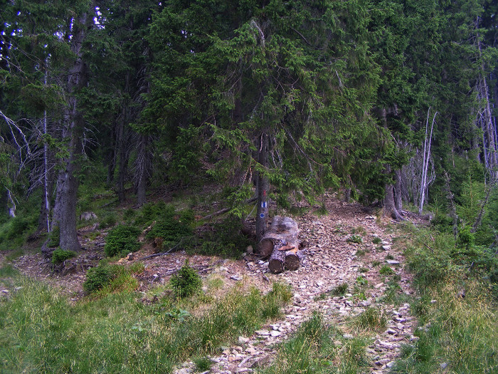 DSCF2308