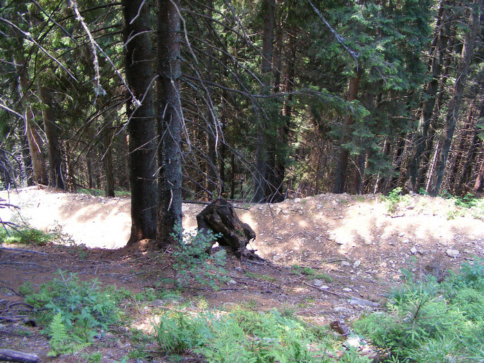 DSCF2317