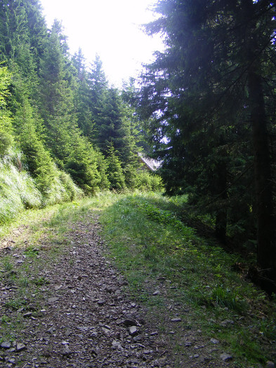 DSCF2318