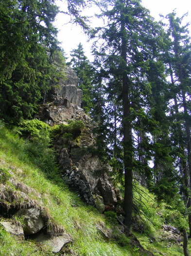 DSCF2324