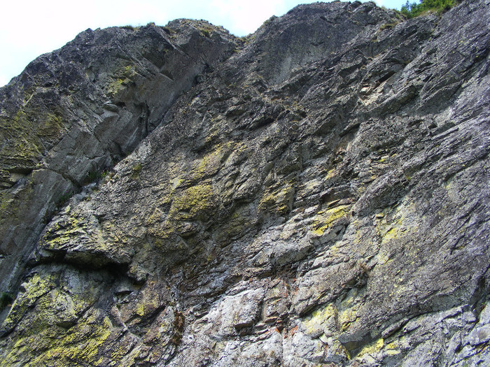 DSCF2346
