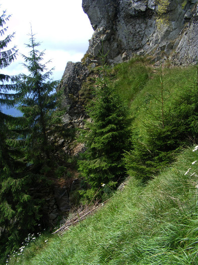 DSCF2348