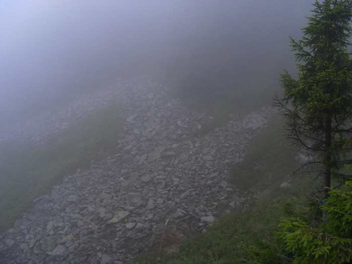 DSCF2369 - Tibles 2