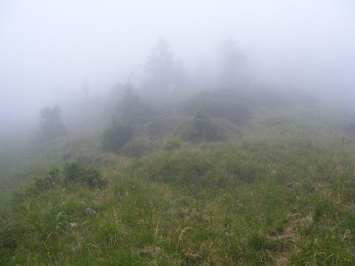 DSCF2388 - Tibles 2