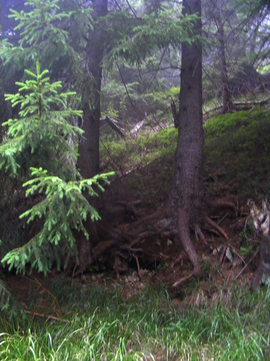 DSCF2399 - Tibles 2