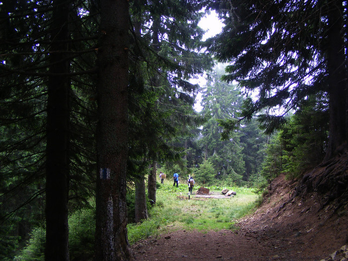 DSCF2421