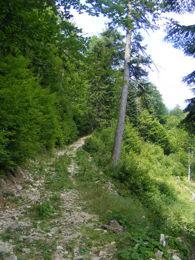 DSCF2476 - Tibles 2
