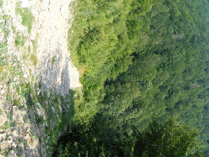 DSCF2483 - Tibles 2