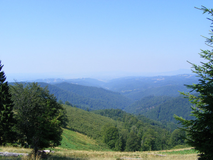 DSCF4026