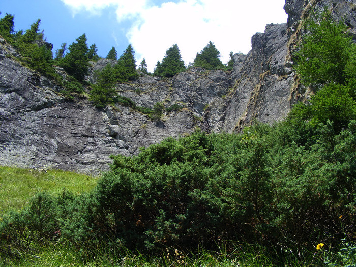 DSCF4060 - Tibles 4