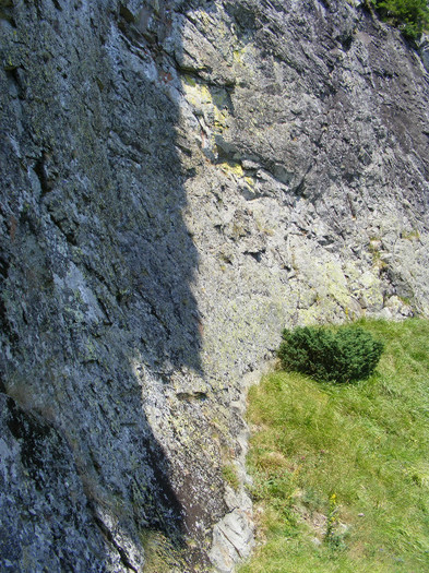 DSCF4066 - Tibles 4