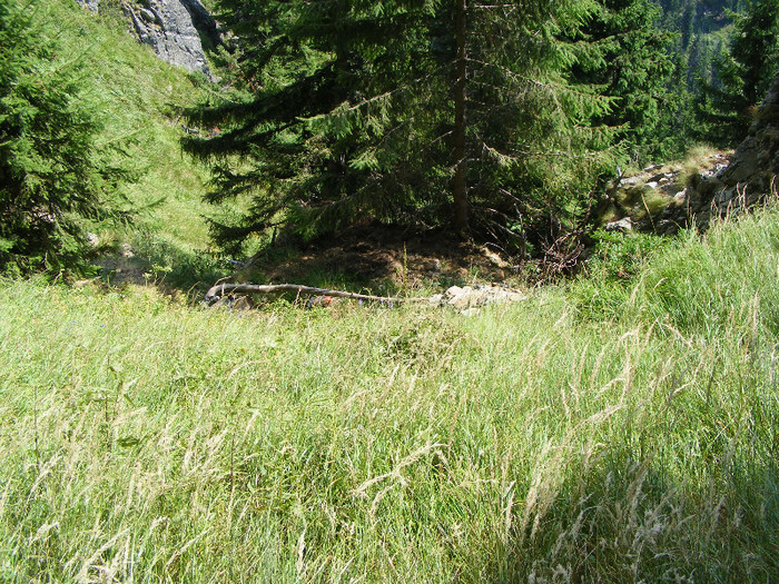 DSCF4068 - Tibles 4