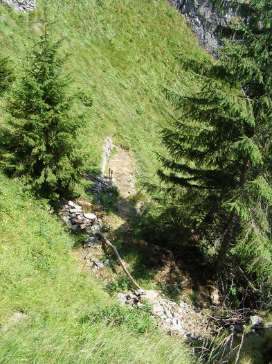 DSCF4076 - Tibles 4