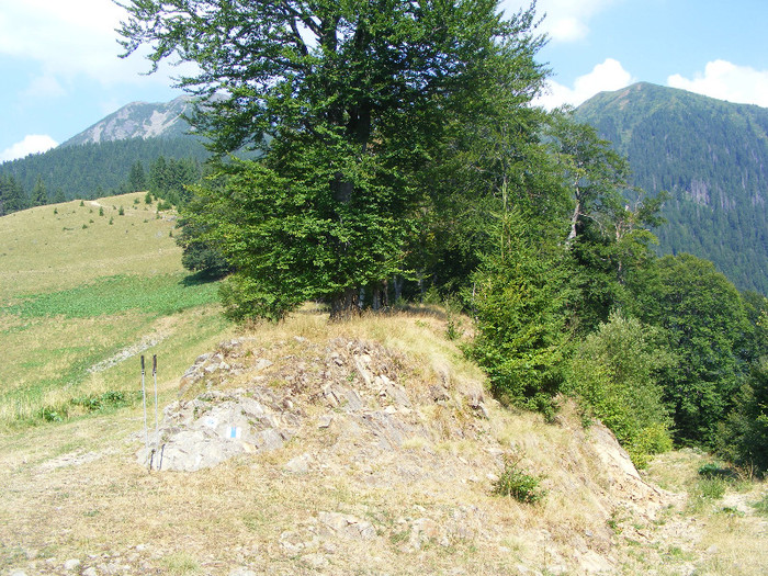 DSCF4088 - Tibles 4