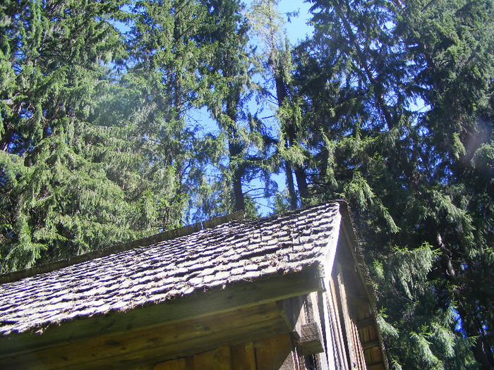 DSCF0859 - Tibles 3