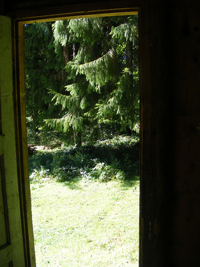 DSCF0864