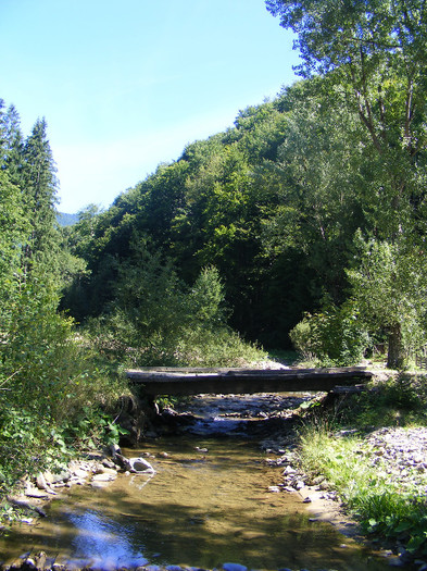 DSCF0865
