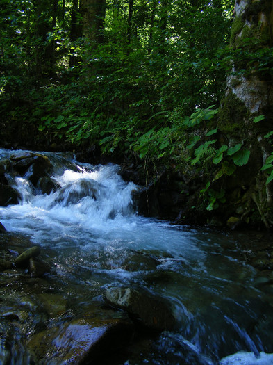 DSCF0891 - Tibles 3