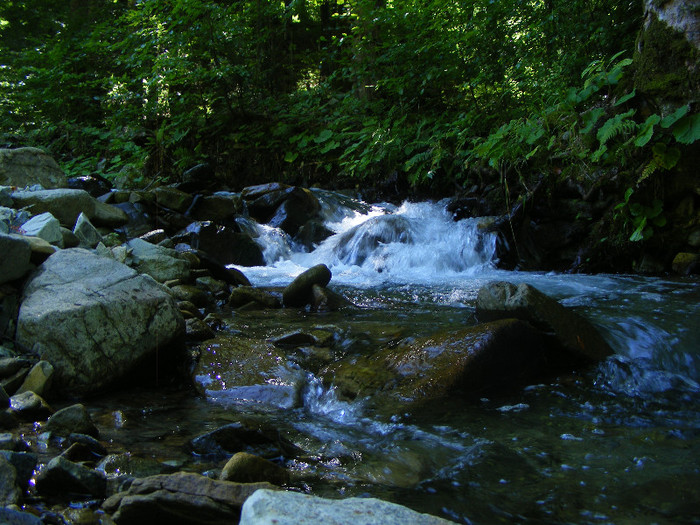 DSCF0892