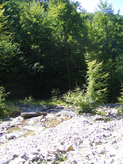 DSCF0898
