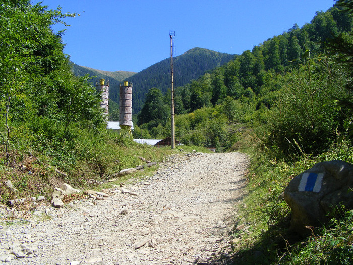 DSCF0900