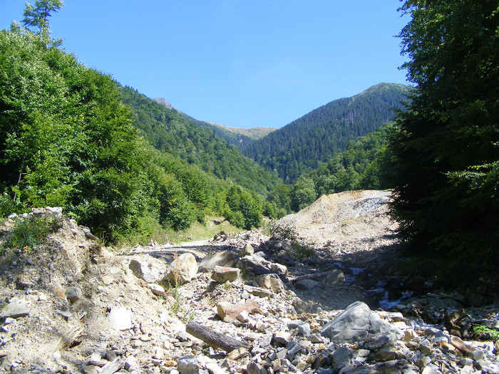 DSCF0919