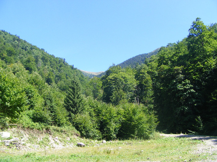 DSCF0930 - Tibles 3