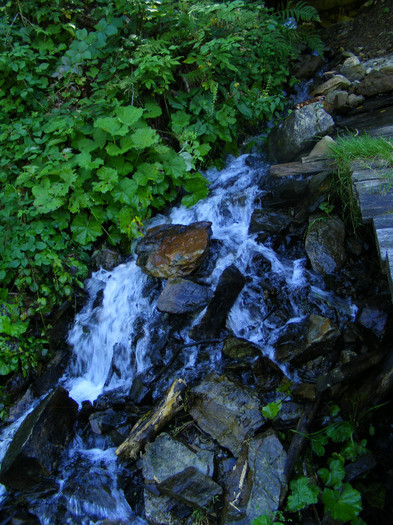 DSCF0934