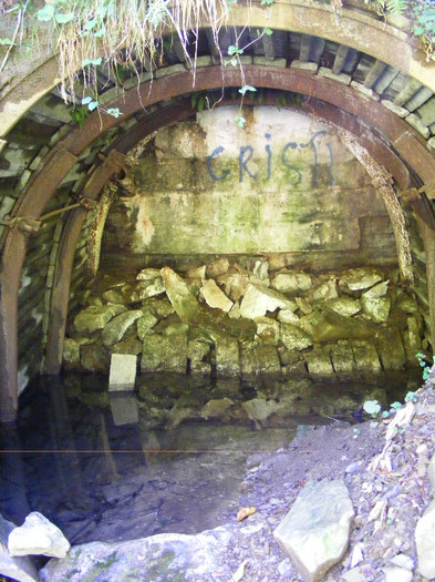 DSCF0936