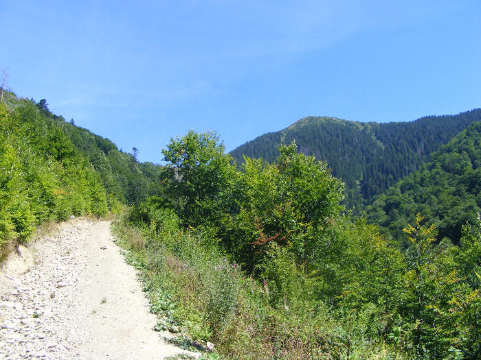 DSCF0958