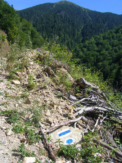 DSCF0959