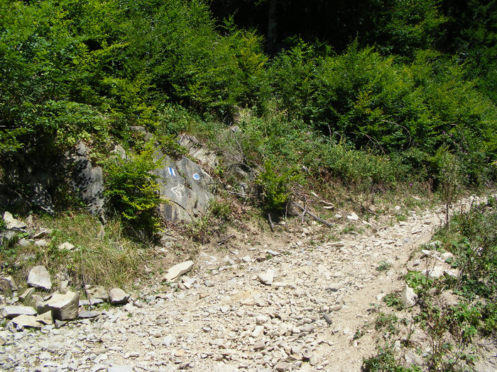 DSCF0965