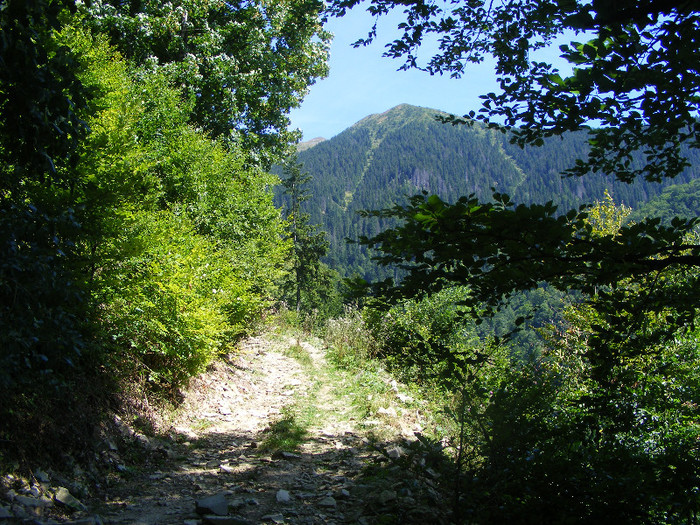 DSCF0968
