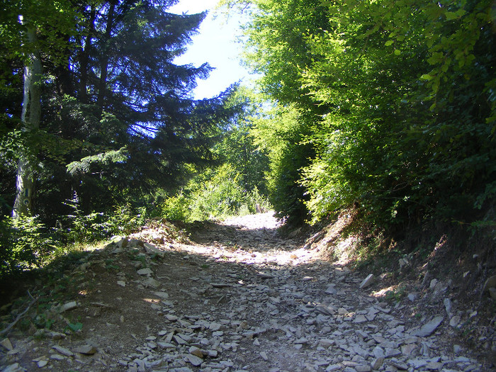 DSCF0972