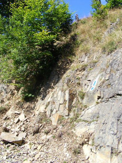 DSCF0976