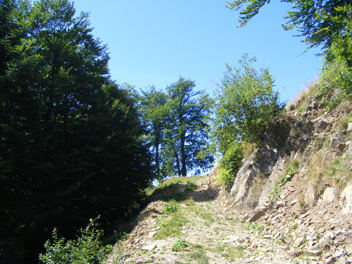 DSCF0977