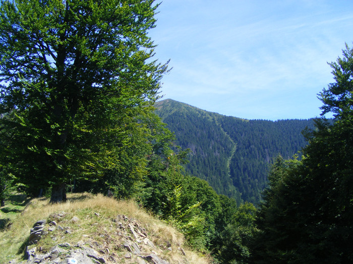 DSCF0983