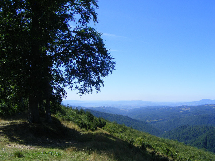 DSCF0984