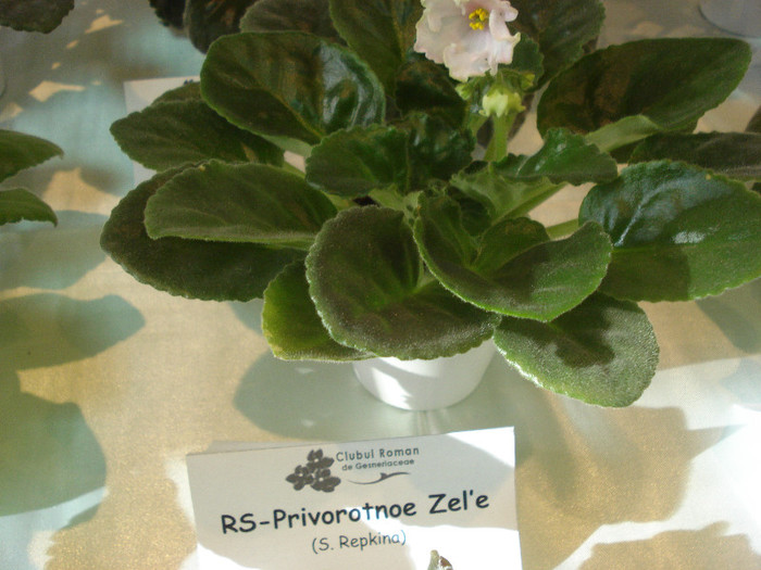 expozitie 073