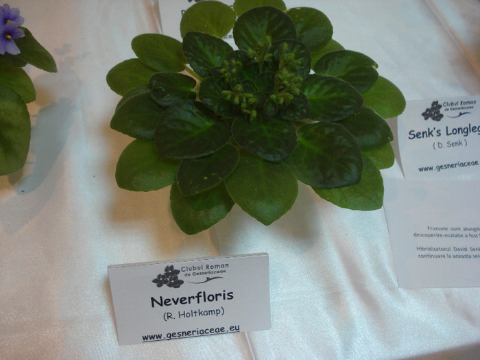 expozitie 096