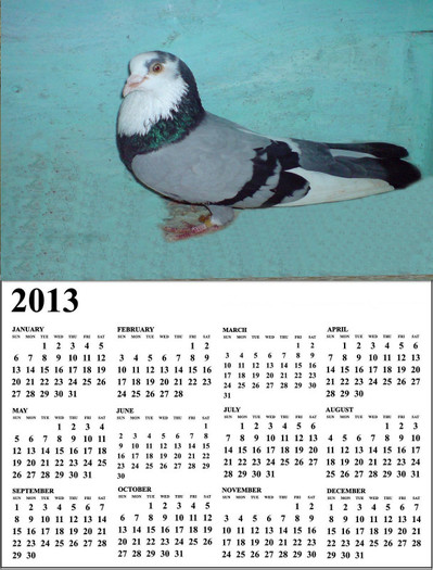 HM11 Big A4 A3 Calendar 2013  r