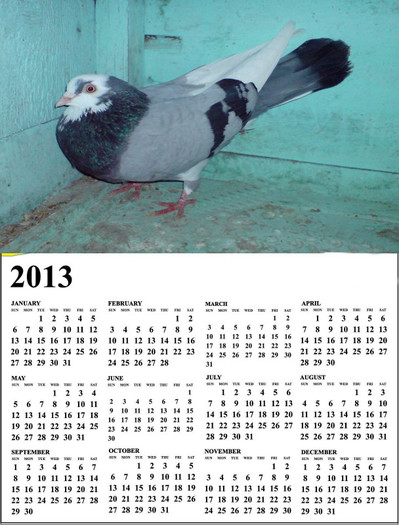Calendar 2013 Big size modificat