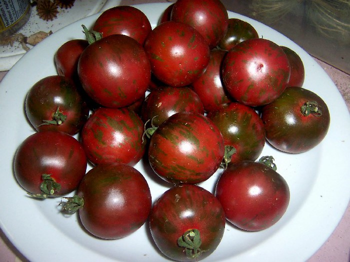 violet jasper - TOMATOES in my GARDEN 2012