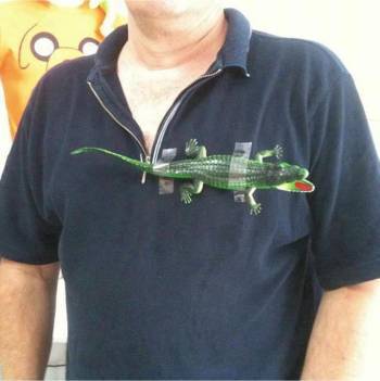 tricou-original; Original Lacoste :))
