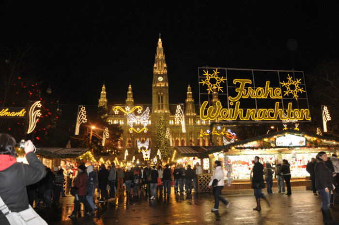 _DSC1108 - Viena Dec 2012