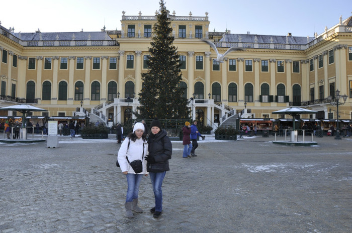 _DSC1145 - Viena Dec 2012