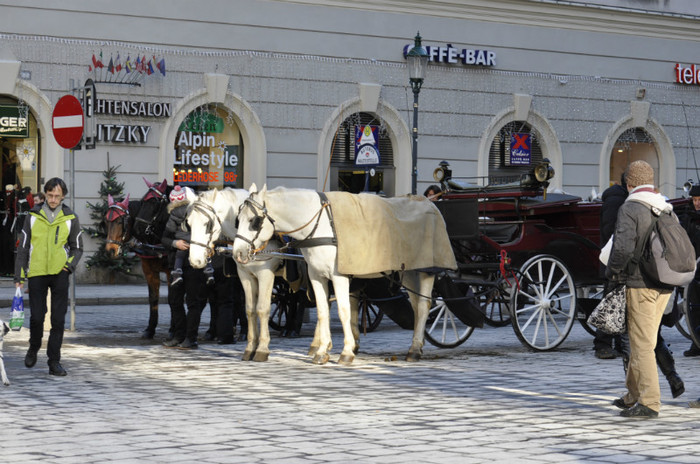_DSC1245 - Viena Dec 2012