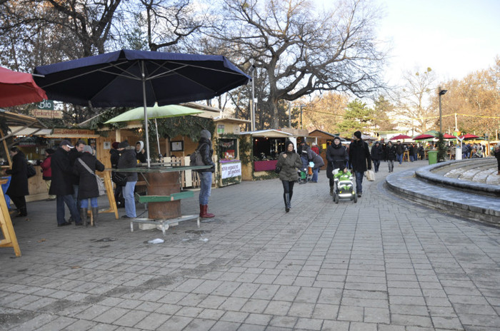 _DSC1257 - Viena Dec 2012