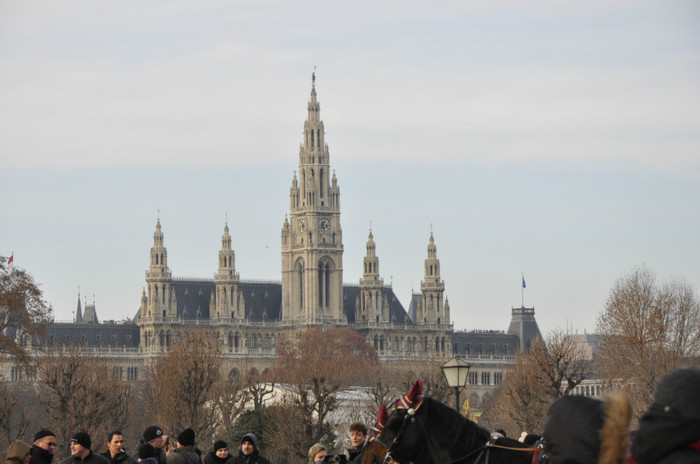 _DSC1745 - Viena Dec 2012